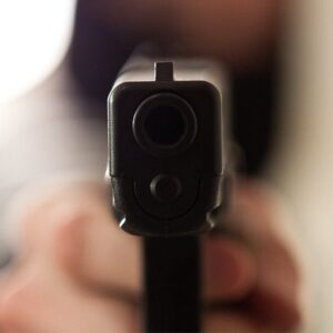 Workshop : Forsvar mod pistoltrusler og 3.-partsbeskyttelse